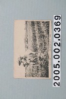 藏品(臺灣的龍骨車)的圖片