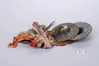 藏品(銅製鈸一對)的圖片