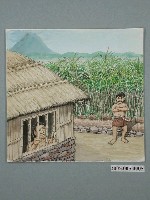 藏品(陳建年《弟弟被關在會所》)的圖片