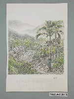 藏品(見維巴里《遠眺家屋》)的圖片