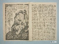 藏品(《穿心蟲》電影廣告單)的圖片