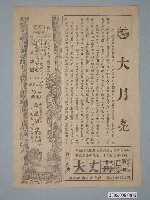 藏品(《太陽戀》電影廣告單)的圖片