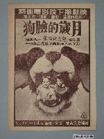 藏品(《狗臉的歲月》電影廣告單)的圖片