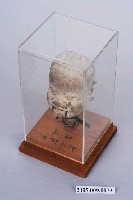 藏品(清代泉州製作的原鄉傀儡戲偶頭之戲神田都元帥)的圖片