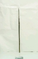 藏品(鐵製木柄山豬槍)的圖片