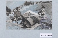 藏品(霧社原住民婦人織布作業)的圖片