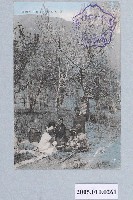 藏品(霧社名勝櫻花樹下演奏音樂)的圖片