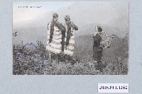 藏品(夕影之下演奏口簧琴)的圖片