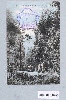 藏品(霧社名勝人止關)的圖片