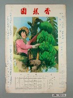 藏品(香蕉園廣告海報)的圖片