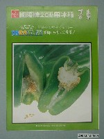 藏品(國際牌全自動電冰箱青椒圖樣廣告傳單)的圖片
