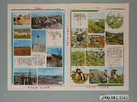 藏品(《臺灣畫刊》部分內頁)的圖片