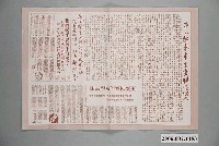 藏品(批評臺南市長候選人王奕祺選舉宣傳單)的圖片