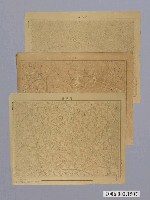 藏品(臨時臺灣土地調查局〈二萬分一堡圖〉49幅)的圖片