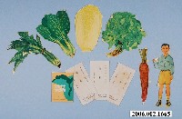 藏品(健康教育資料)的圖片