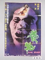 藏品(《養鬼》電影海報)的圖片