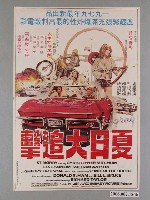 藏品(《夏日大追擊》電影海報)的圖片