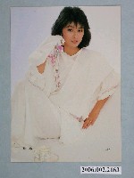 藏品(楊林明星照片小卡)的圖片