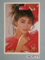 藏品(楊林明星照片)的圖片