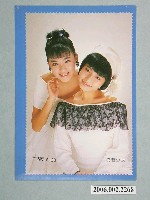 藏品(城市少女明星照片小卡)的圖片