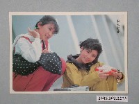 藏品(城市少女明星照片小卡)的圖片