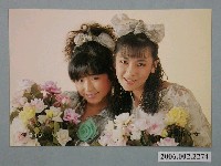 藏品(城市少女明星照片小卡)的圖片