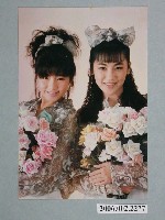 藏品(城市少女明星照片小卡)的圖片