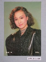 藏品(劉雪華明星照片小卡)的圖片