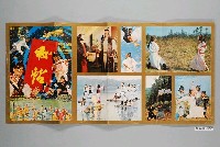 藏品(《秘帖》電影本事)的圖片