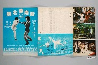 藏品(《新南拳北腿》電影本事)的圖片