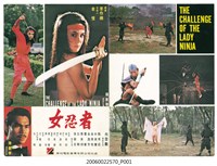 藏品(《女忍者》電影本事)的圖片