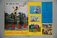 藏品(《獨闖龍潭》電影本事)的圖片