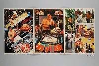 藏品(《勝利者》電影本事)的圖片