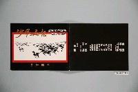 藏品(《怒馬飛沙》電影本事)的圖片