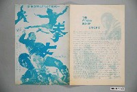 藏品(《拳女》電影本事)的圖片