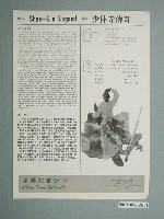 藏品(《少林寺傳奇》電影本事)的圖片