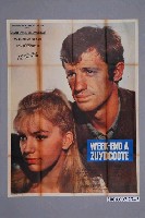 藏品(《碧血長天》電影海報)的圖片