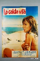 藏品(《溫暖人生》電影海報)的圖片