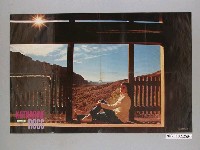 藏品(凱瑟琳．羅斯、勞勃．韋納明星海報)的圖片