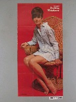 藏品(奧黛麗赫本明星海報)的圖片