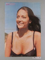 藏品(奧莉薇．荷西、史提夫．麥昆明星海報)的圖片