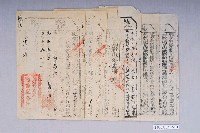 藏品(蔴薯舊社屯外委潘給楊阿秋租穀完納執照一組6張)的圖片