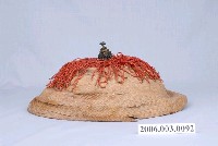 藏品(新竹北門老街官帽)的圖片