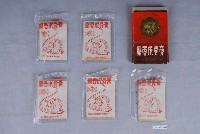 藏品(麝香虎骨膏)的圖片