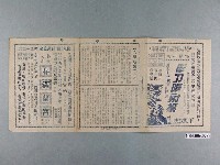藏品(《人猿魅影》電影本事)的圖片