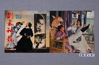 藏品(《劍氣神龍》電影本事)的圖片