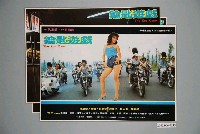 藏品(《鑰匙遊戲》電影宣傳劇照組)的圖片