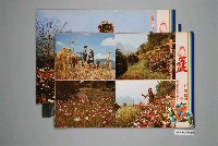 藏品(《蠱》電影宣傳劇照)的圖片