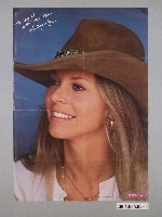 藏品(琳賽．華格納明星海報)的圖片