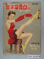 藏品(美國白雪溜冰團在臺公演節目本)的圖片